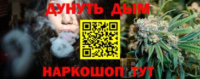 mdpv Ярославль