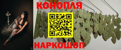mdpv Ярославль