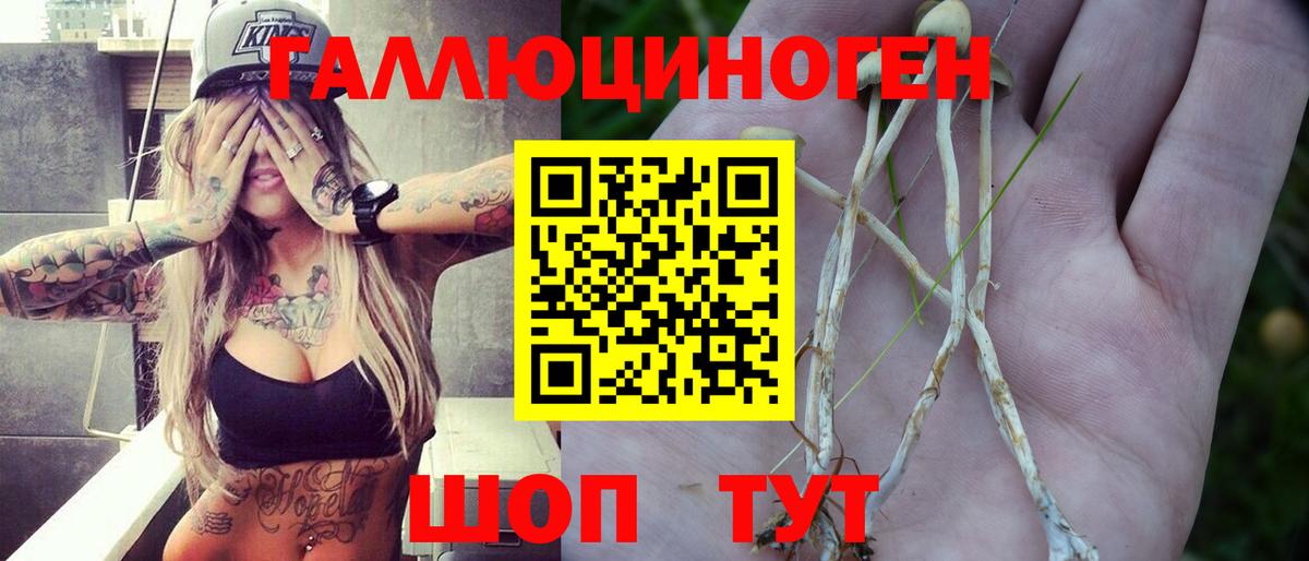 Псилоцибиновые грибы MAGIC MUSHROOMS  Вход с VPN  Галлюциногенные грибы MAGIC MUSHROOMS  Братск 